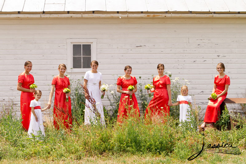 Wedding Pic of Allison & Zachary Gingerich with brides maids