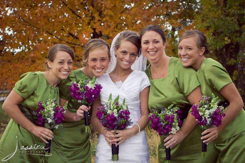 Wedding Portrait of Emily Troyer Beachy and Hans Beachy Bridal Party