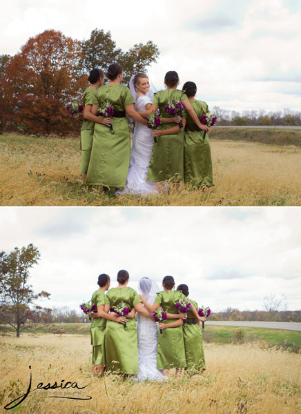 Wedding Portrait of Emily Troyer Beachy and Hans Beachy Bridal Party