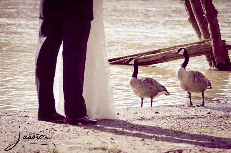 Wedding Portrait of Kevin & Gayle Friesen Buerge by River with Geese