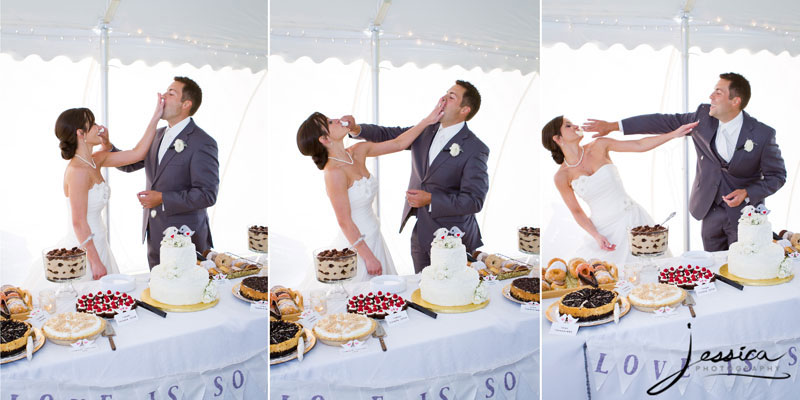 Cutting the Wedding Cake Pic