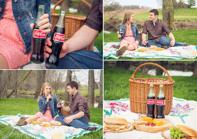 Country picnic engagement pics