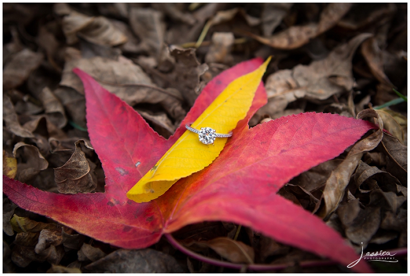 Ring Picture with fall leaves