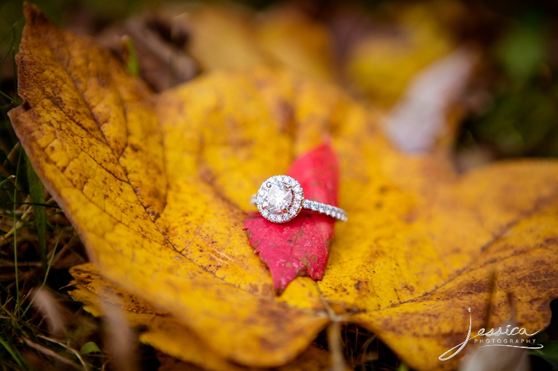 Engagement Portrait Ring on a Leaf