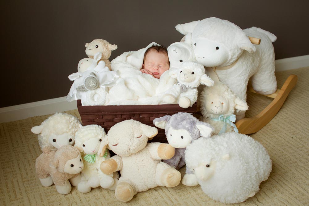 Newborn and Birth Photography (10)