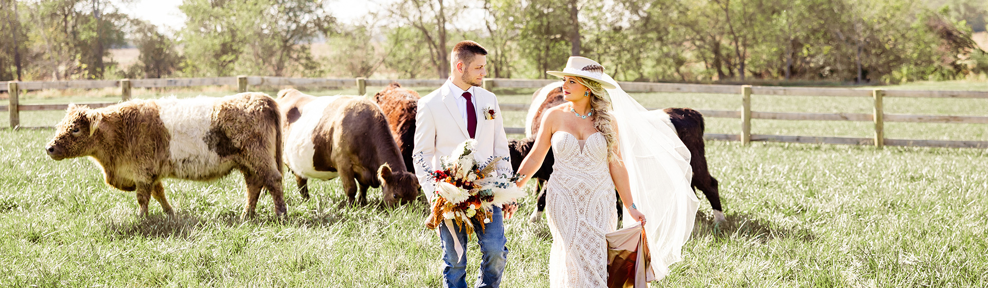 Bride and groom at The Old Barn at Dry Run Farms in the pasture with cows